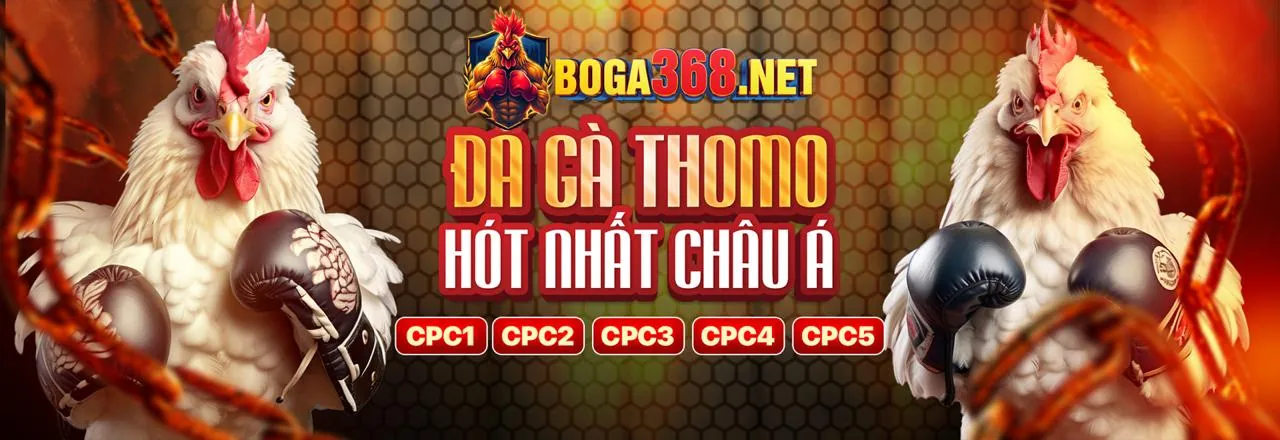 Đá Gà Trực Tiếp tại cmm88 nhà cái