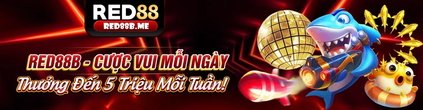 Hình ảnh chính blog cmm88 nhà cái